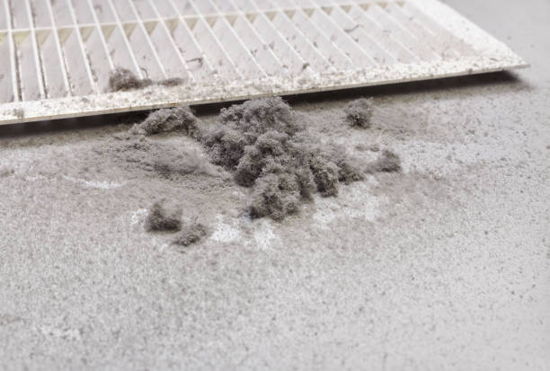 Best Air Duct Mold Removal  in Decatur, TX